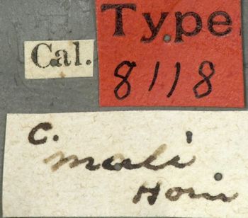 Media type: image;   Entomology 8118 Aspect: labels